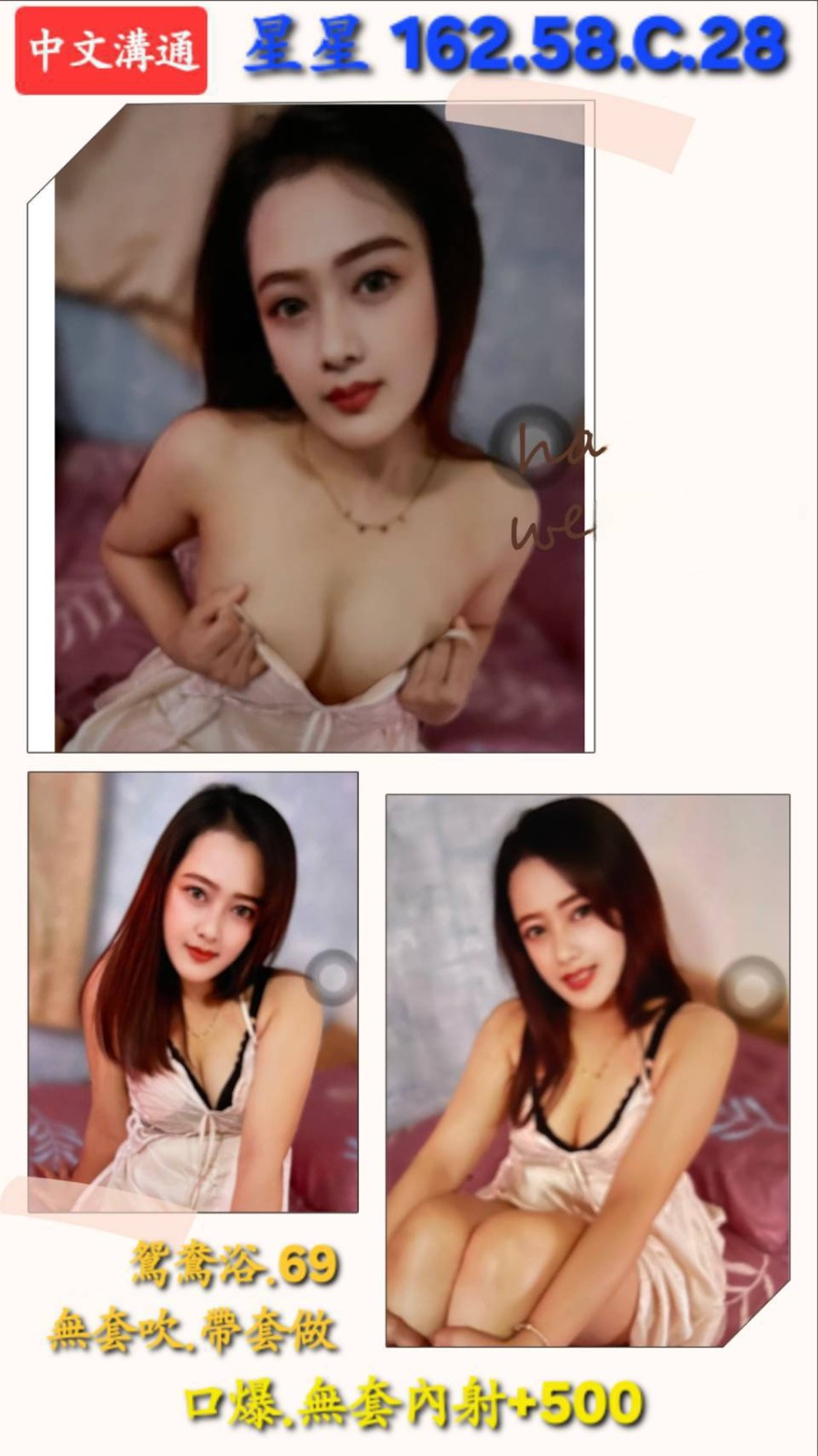 中壢定點